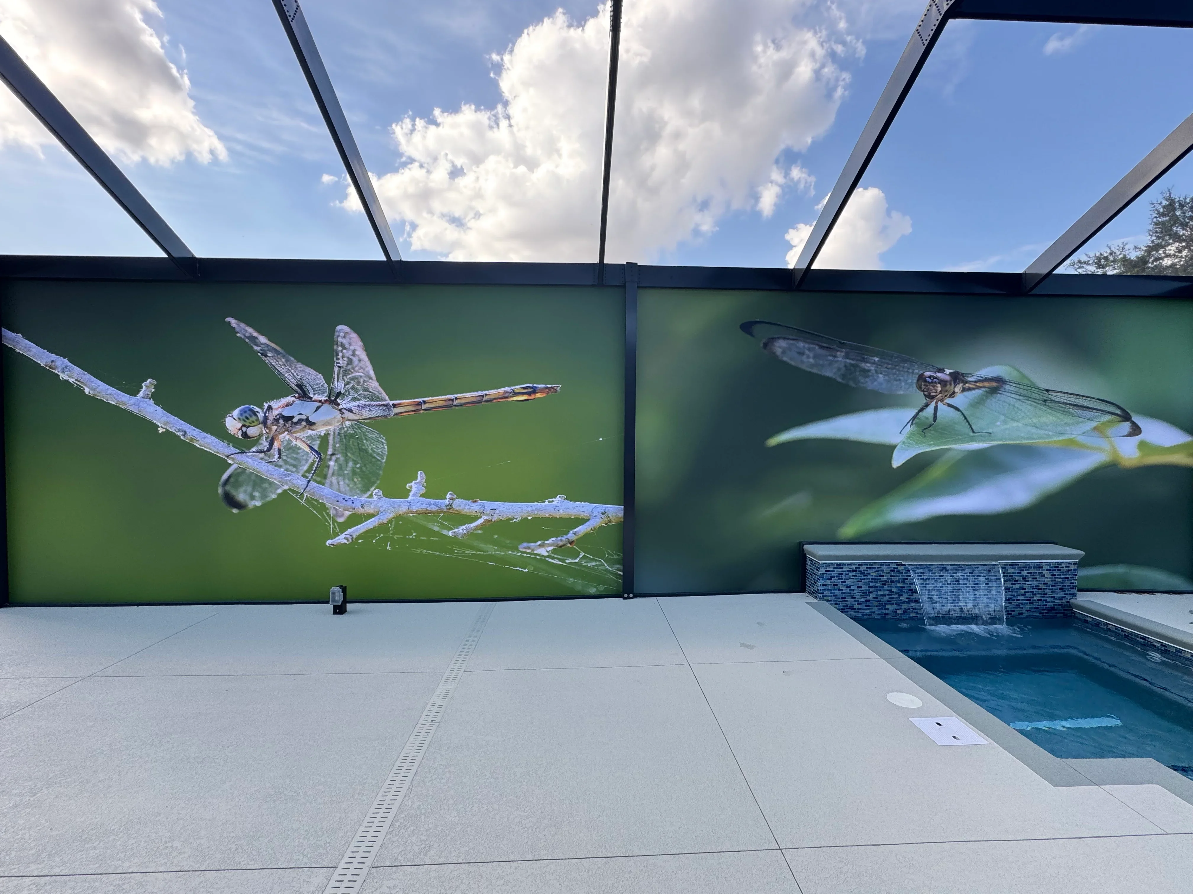 Custom printed dragonfly screens installed on pool deck with pergola overhead structure