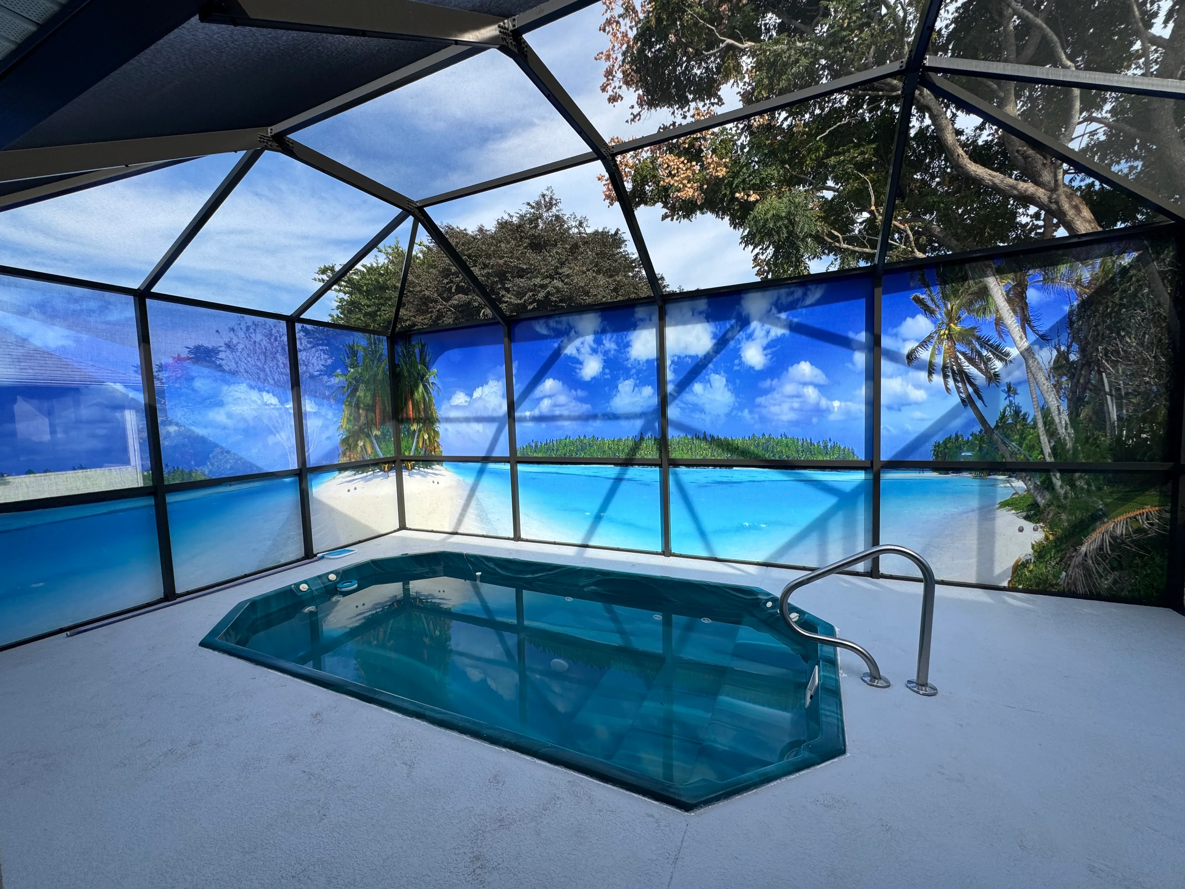 Pool enclosure with black aluminum frame, printed tropical scene panels, and clear roof panels
