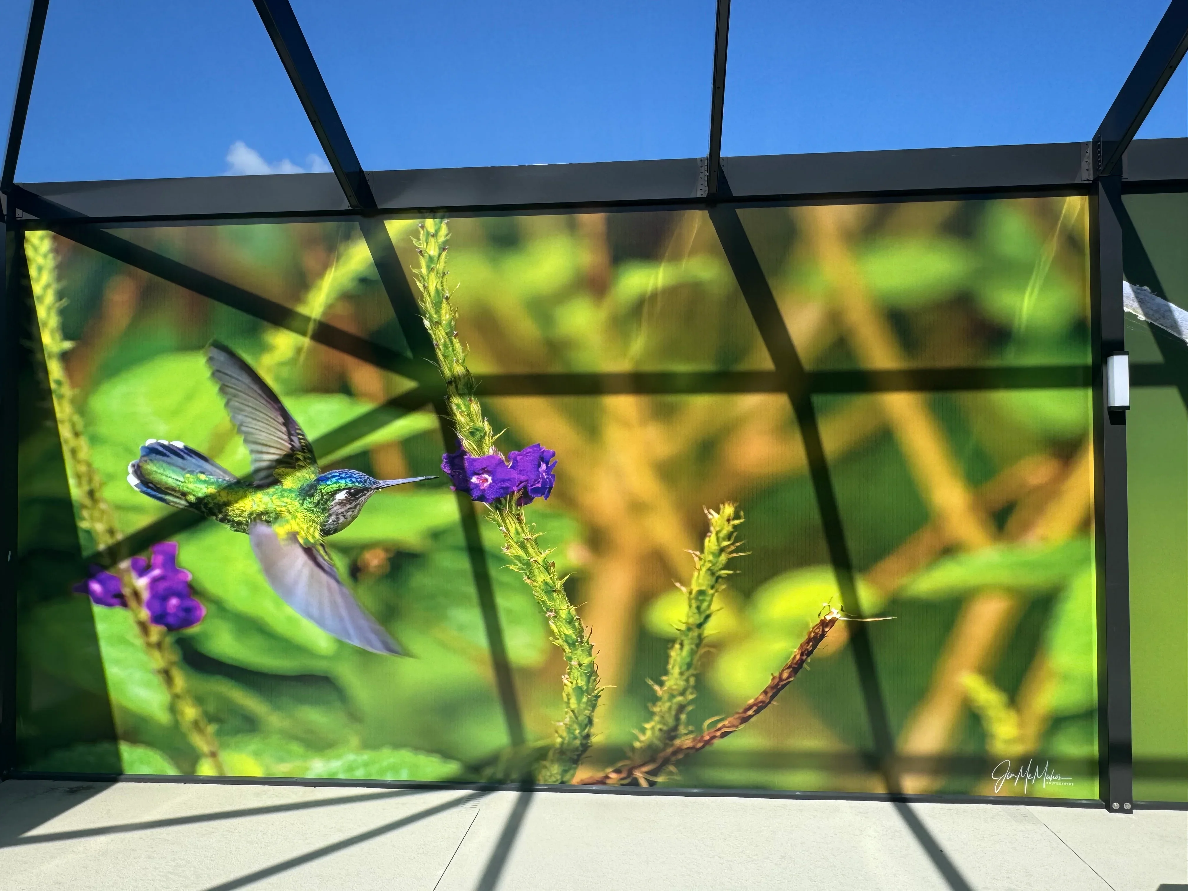 Retractable black aluminum screen with hummingbird and flower photography print installed on patio