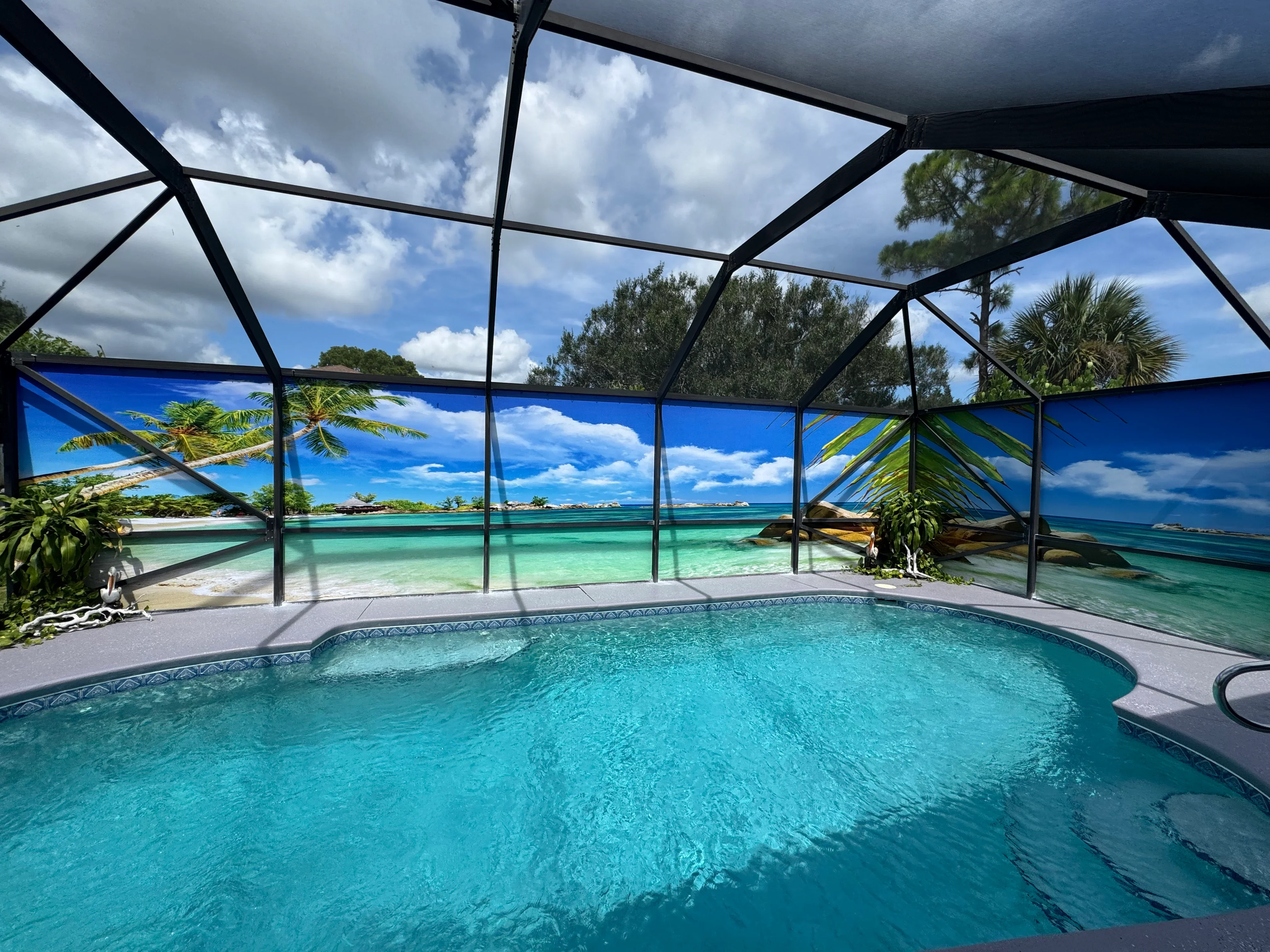Curved black aluminum pool enclosure with full-height screening and decorative tile border