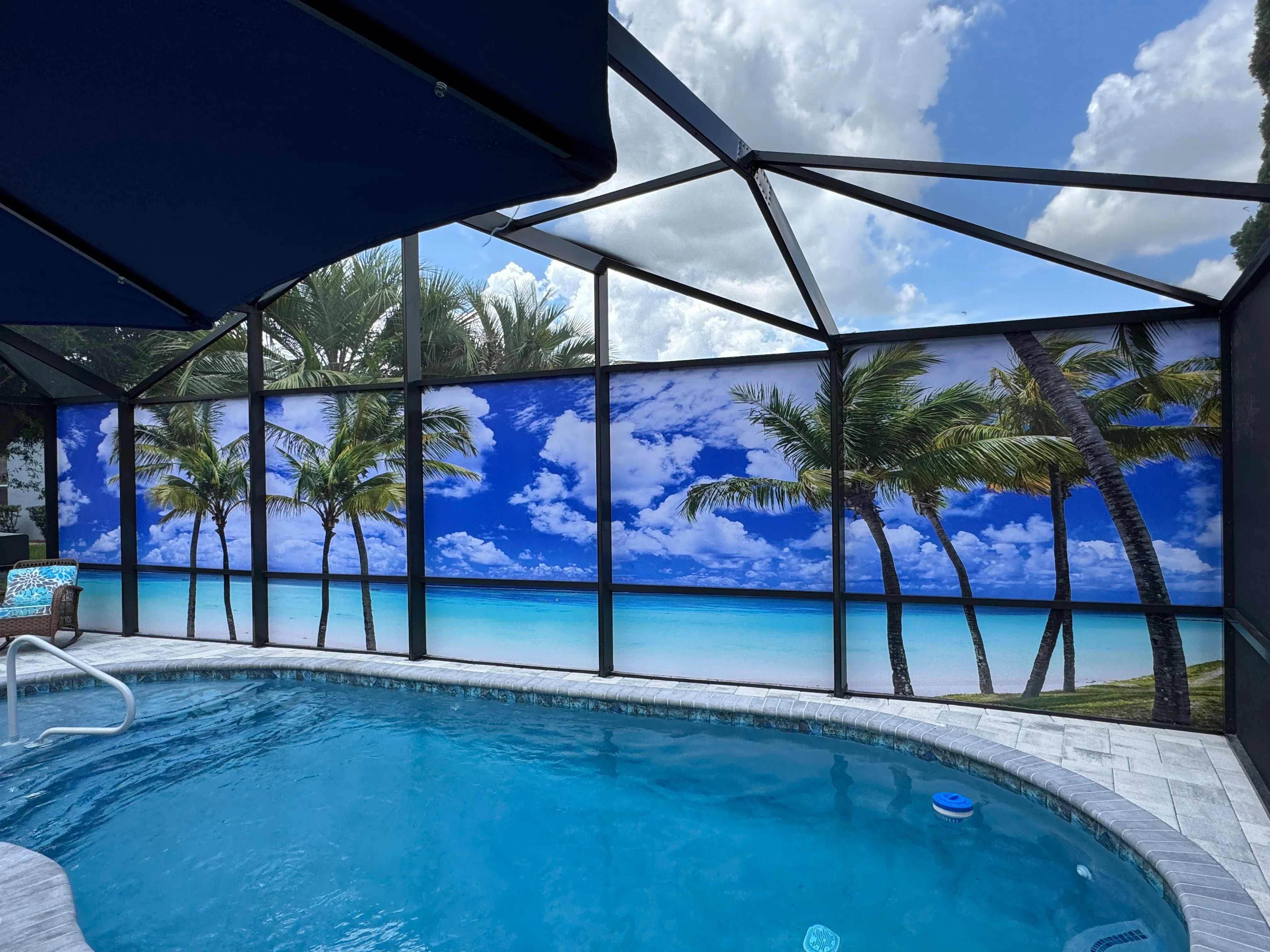 Pool enclosure with black aluminum frame, tropical mural screening, and retractable shade canopy